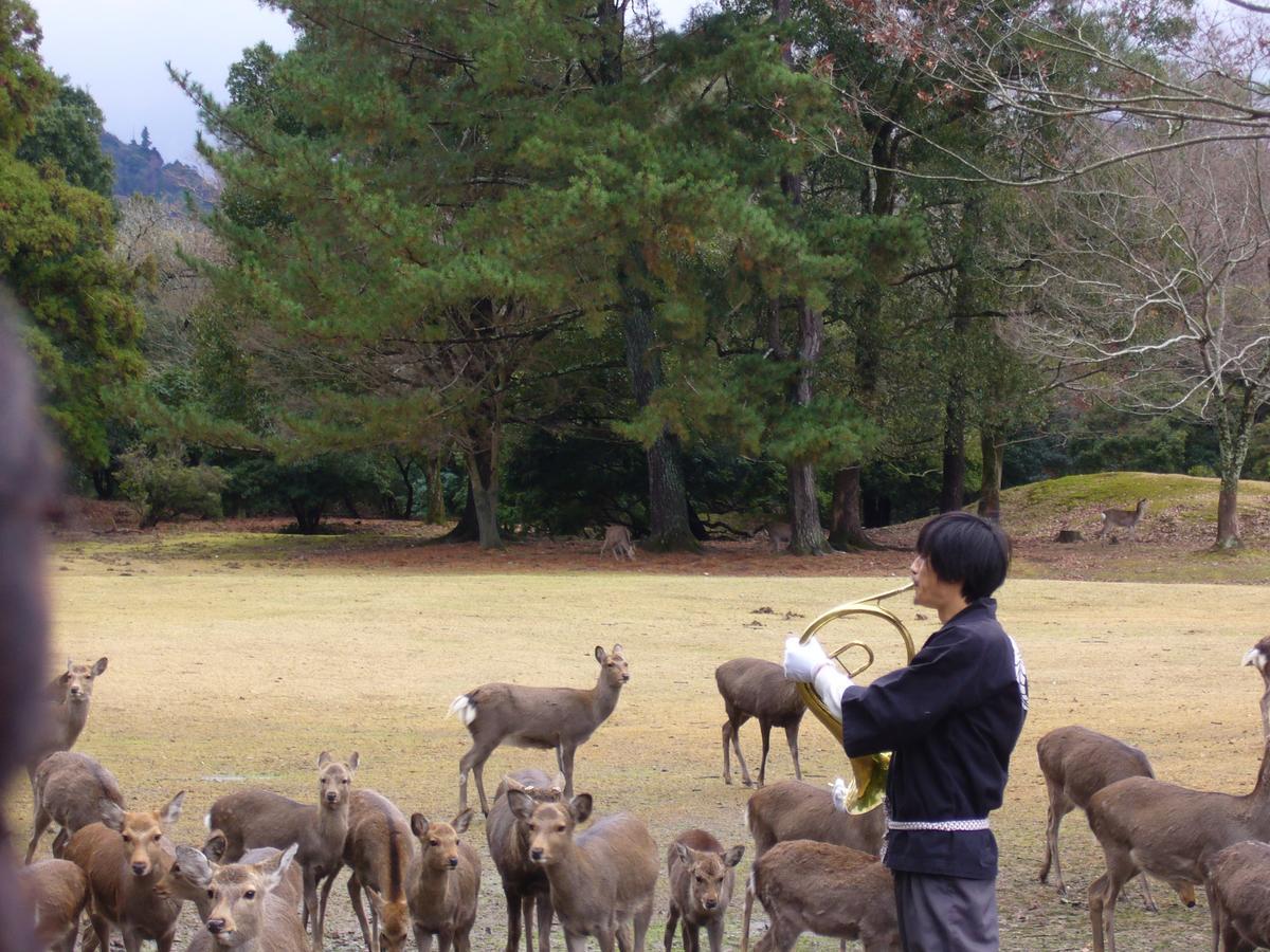 Kotonoyado Musashino Nara Exterior foto